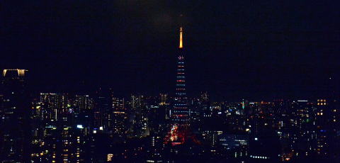 150614tokyo-tower37E_00851.jpg