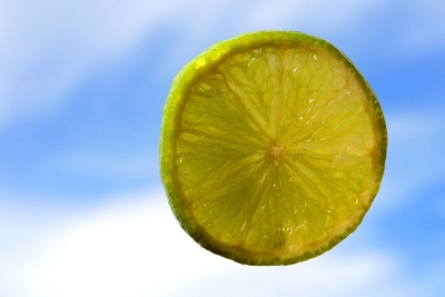 Lemon Slice